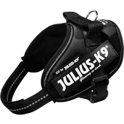 Hundselen från Julius K9 USA i vackert svart